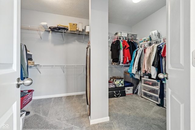 5875 Stroup Dr, Noblesville, IN 46062 - walk in closet with carpet flooring
