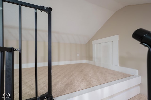 916 E 54th St, Indianapolis, IN 46220 - exercise room featuring lofted ceiling and carpet flooring
