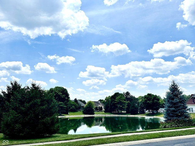 12068 Bayhill Dr, Carmel, IN 46033 - water view