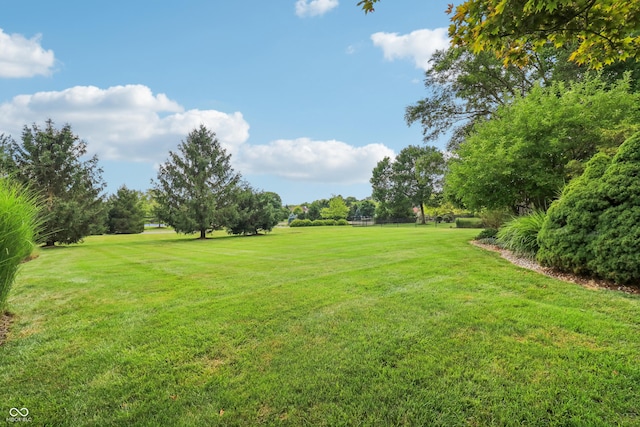 12068 Bayhill Dr, Carmel, IN 46033 - view of grassy yard