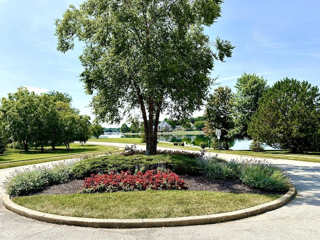 12068 Bayhill Dr, Carmel, IN 46033 - surrounding community featuring a water view and a lawn