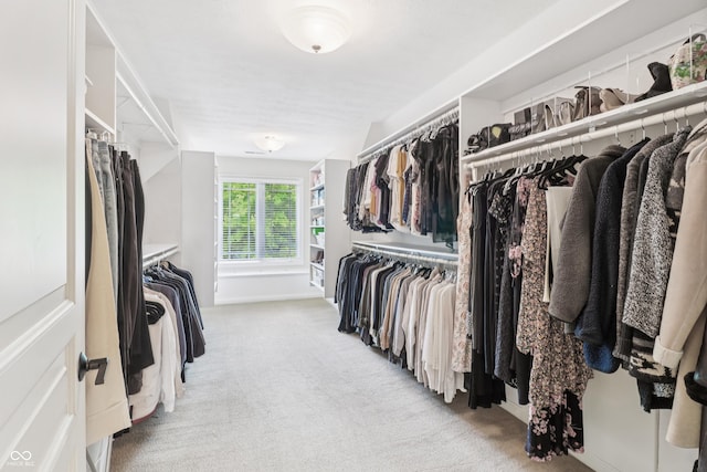 12068 Bayhill Dr, Carmel, IN 46033 - spacious closet with carpet flooring