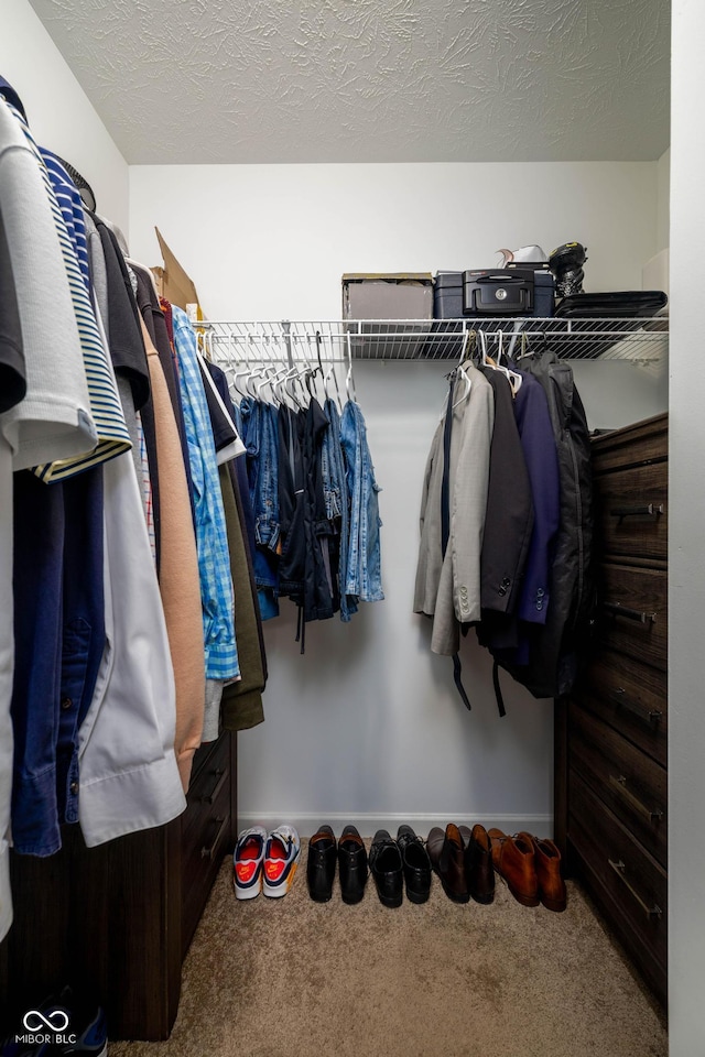 10524 Broadford St, Indianapolis, IN 46239 - walk in closet featuring carpet floors
