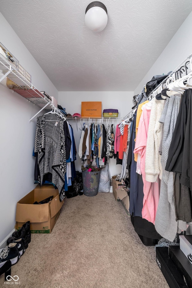 10524 Broadford St, Indianapolis, IN 46239 - spacious closet featuring carpet floors