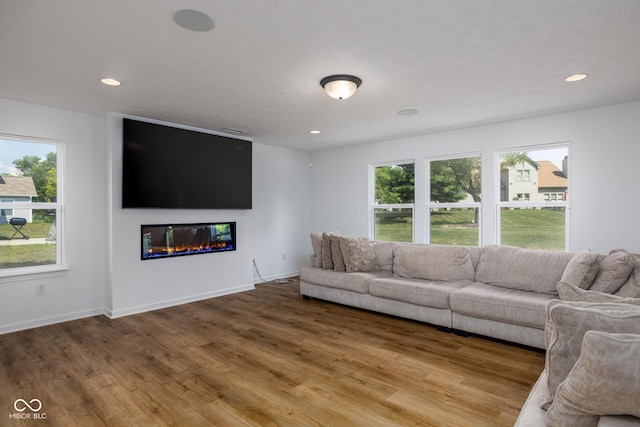 10524 Broadford St, Indianapolis, IN 46239 - living area with wood finished floors, a glass covered fireplace, and recessed lighting