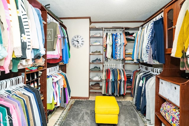 5322 Lily Pad Ln, Indianapolis, IN 46237 - view of spacious closet