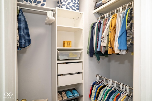 5322 Lily Pad Ln, Indianapolis, IN 46237 - view of spacious closet