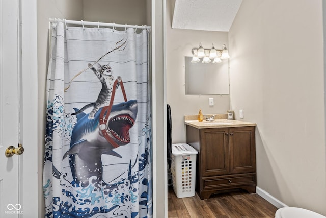 1418 S 7th St, Terre Haute, IN 47802 - bathroom featuring wood finished floors, vanity, and a shower with shower curtain