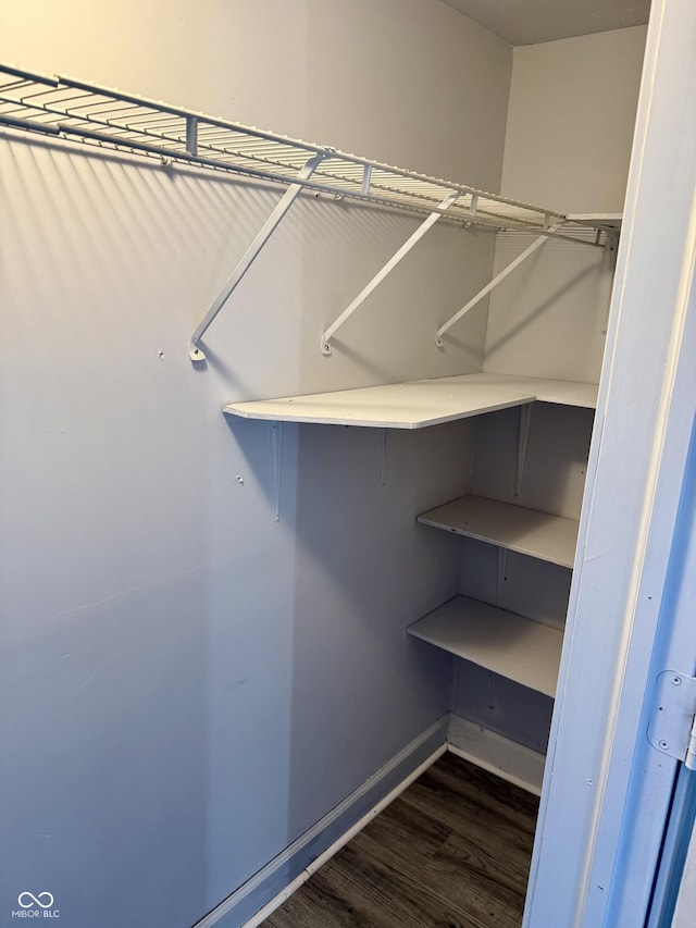 4024 Zinfandel Way, Indianapolis, IN 46254 - spacious closet with wood finished floors