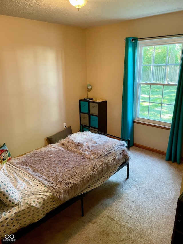 6191 Wildcat Dr, Indianapolis, IN 46203 - bedroom with carpet floors