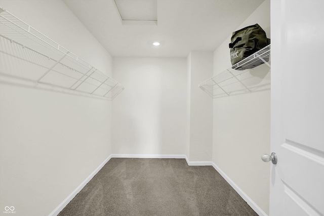 2738 Pointe Club Rd, Indianapolis, IN 46229 - walk in closet with carpet floors and attic access