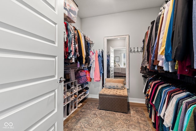 19677 Sumrall Pl, Westfield, IN 46074 - spacious closet with wood finished floors