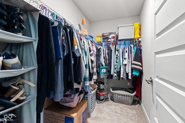 19677 Sumrall Pl, Westfield, IN 46074 - walk in closet with carpet