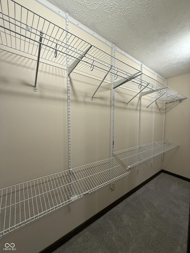 11698 N Bethesda Rd, Mooresville, IN 46158 - spacious closet featuring carpet floors