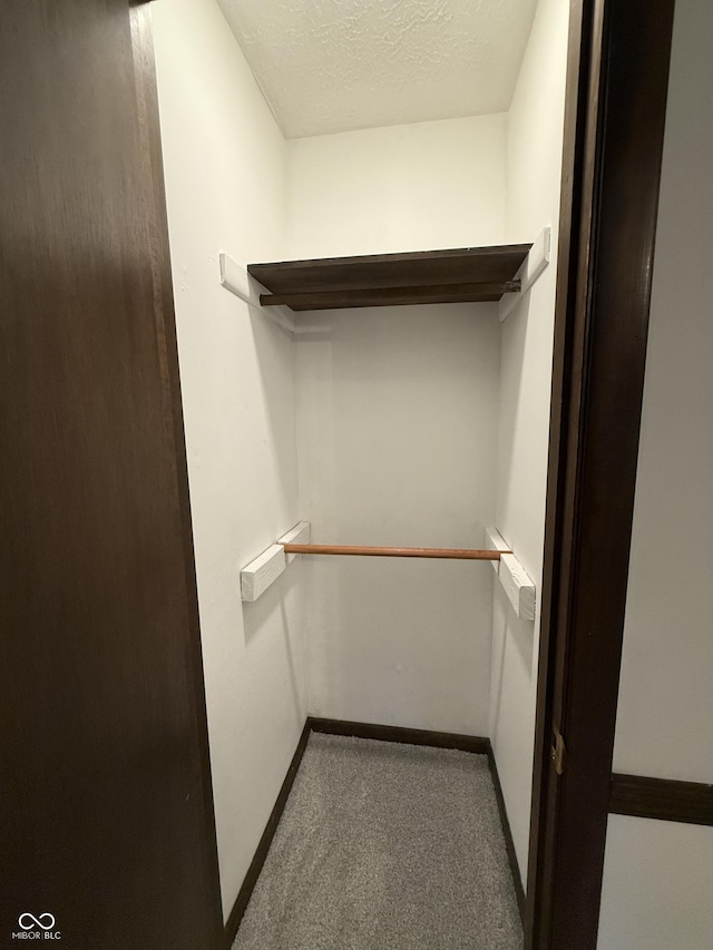 11698 N Bethesda Rd, Mooresville, IN 46158 - walk in closet with carpet floors