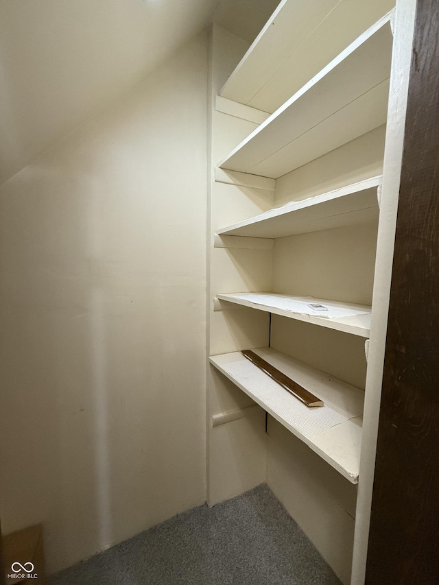 11698 N Bethesda Rd, Mooresville, IN 46158 - view of pantry