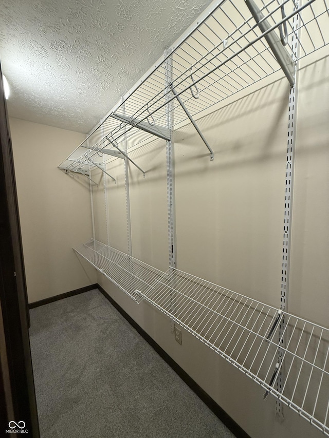 11698 N Bethesda Rd, Mooresville, IN 46158 - spacious closet with carpet floors