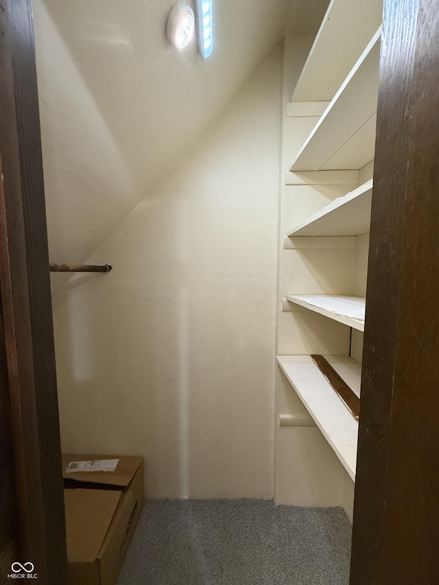 11698 N Bethesda Rd, Mooresville, IN 46158 - spacious closet featuring carpet and vaulted ceiling