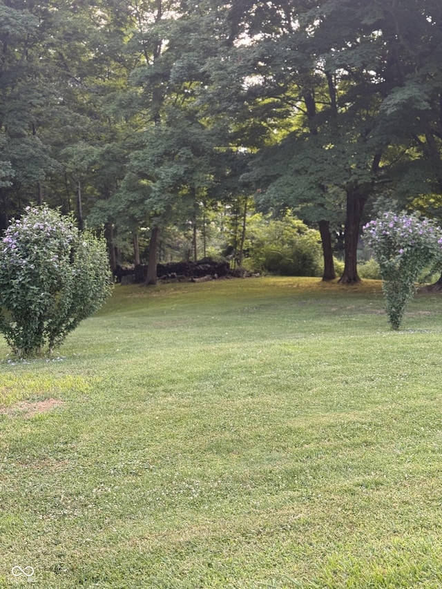 11698 N Bethesda Rd, Mooresville, IN 46158 - view of green lawn