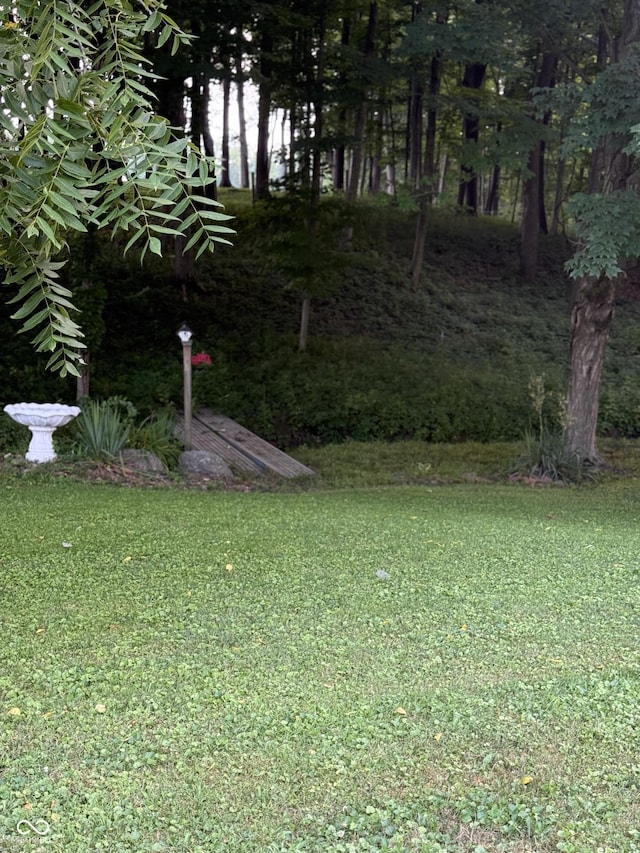 11698 N Bethesda Rd, Mooresville, IN 46158 - view of green lawn