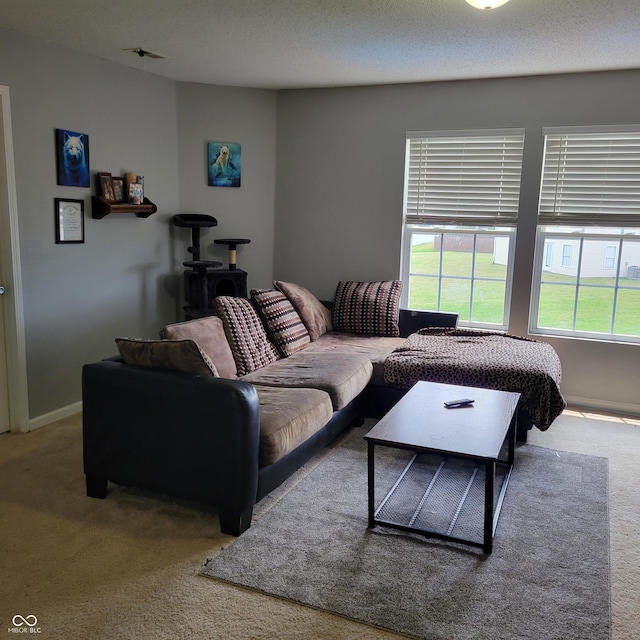 8343 Ingalls Way, Indianapolis, IN 46113 - photo 5