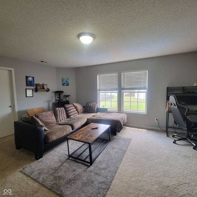 8343 Ingalls Way, Indianapolis, IN 46113 - photo 22