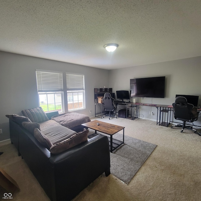 8343 Ingalls Way, Indianapolis, IN 46113 - photo 6