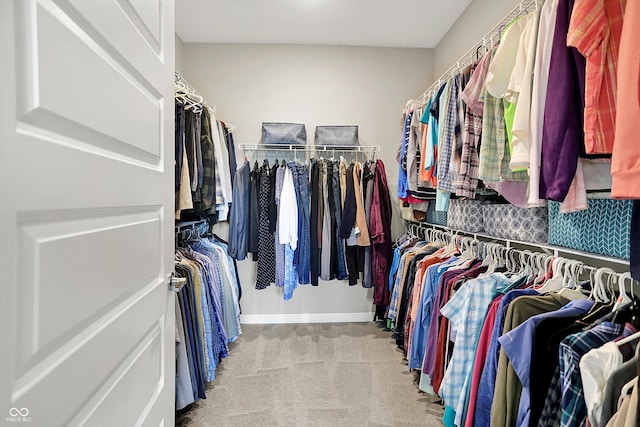 355 Ehrlich Ln, Westfield, IN 46074 - walk in closet featuring carpet flooring