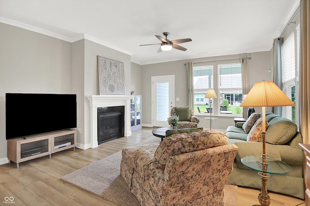 355 Ehrlich Ln, Westfield, IN 46074 - living room with ceiling fan, wood finished floors, a glass covered fireplace, and ornamental molding