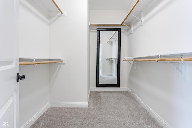 2570 Congress St, Carmel, IN 46032 - spacious closet with carpet
