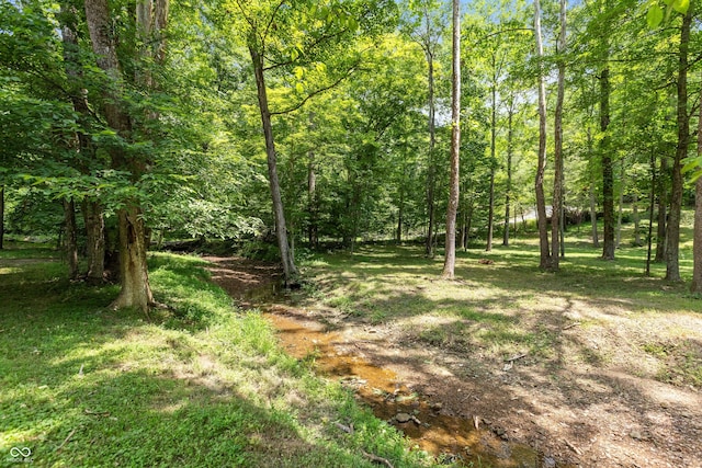 3750 S Whitehorse Rd, Nashville, IN 47448 - view of woods