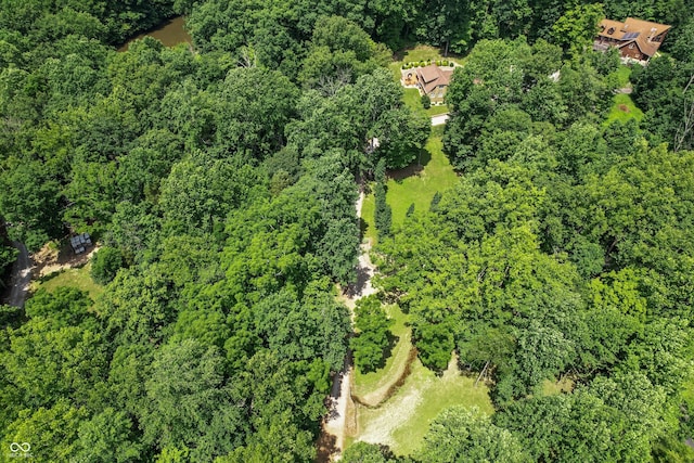 3750 S Whitehorse Rd, Nashville, IN 47448 - aerial overview of property's location with a forest