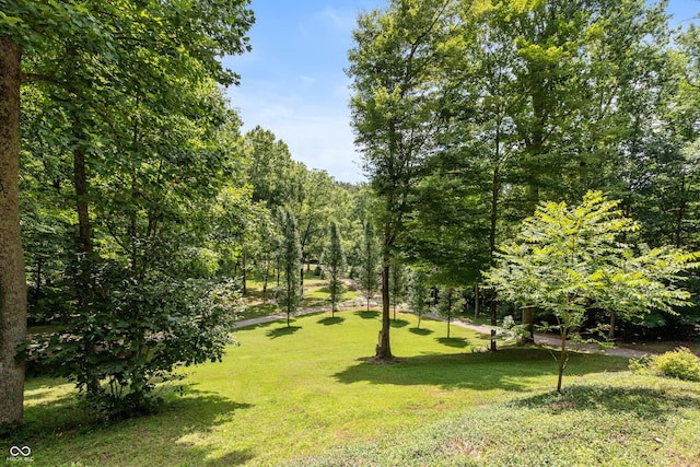 3750 S Whitehorse Rd, Nashville, IN 47448 - view of grassy yard