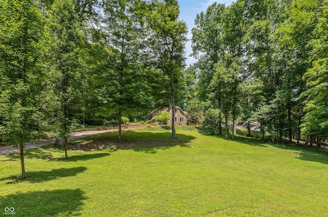 3750 S Whitehorse Rd, Nashville, IN 47448 - view of grassy yard