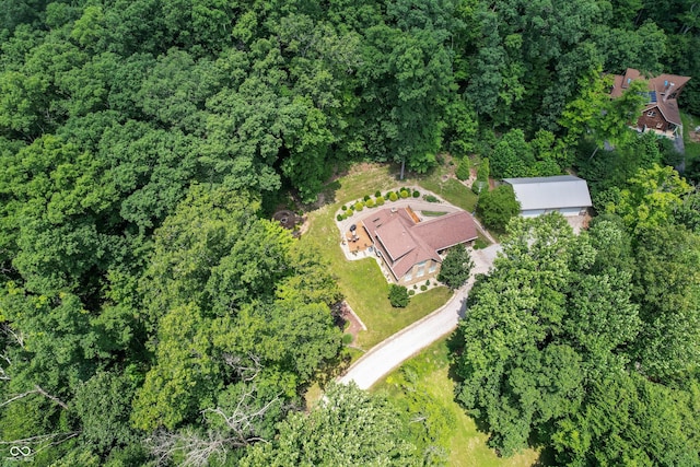 3750 S Whitehorse Rd, Nashville, IN 47448 - aerial view of property and surrounding area