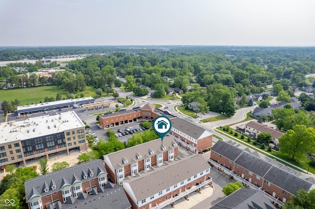 869 N Park Trail Dr, Carmel, IN 46032 - drone / aerial view