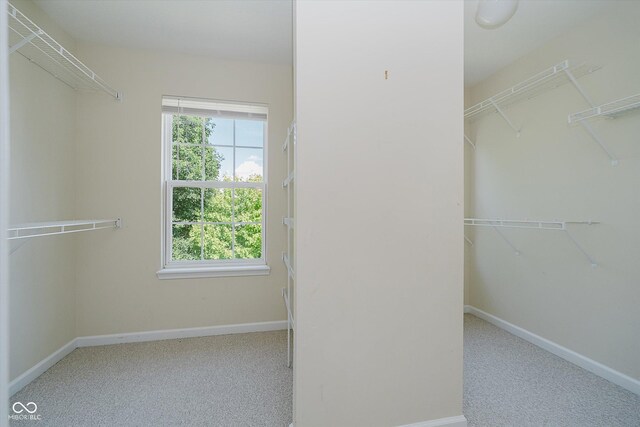 13722 Wendessa Dr, Fishers, IN 46038 - walk in closet with carpet flooring