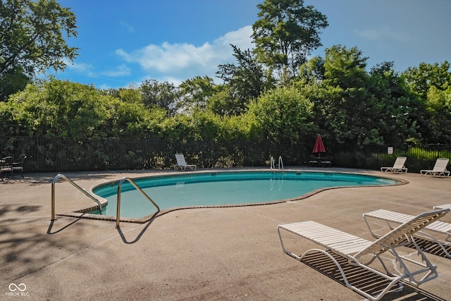 20 Druid Hill Ct, Carmel, IN 46032 - community pool featuring a patio and view of wooded area