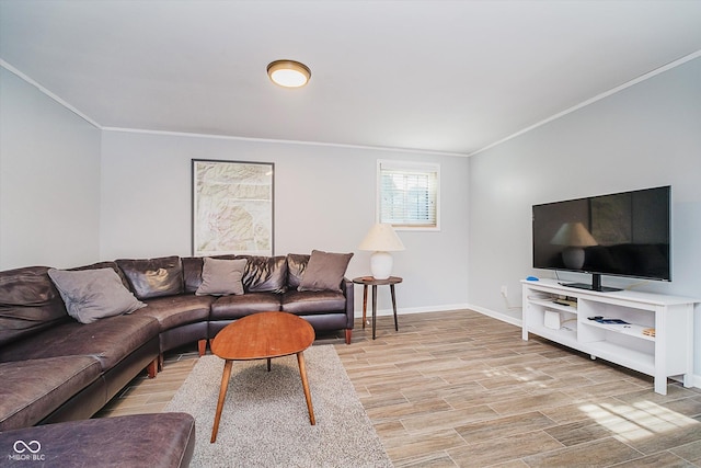 20 Druid Hill Ct, Carmel, IN 46032 - living room with crown molding and light wood-style floors