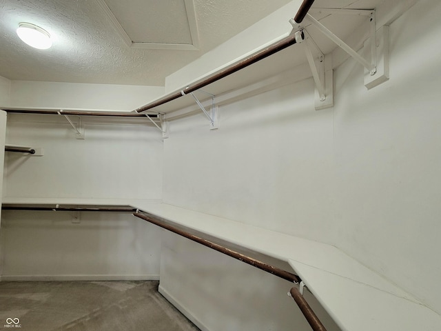 1047 S Jefferson St, Brownsburg, IN 46112 - spacious closet featuring carpet flooring