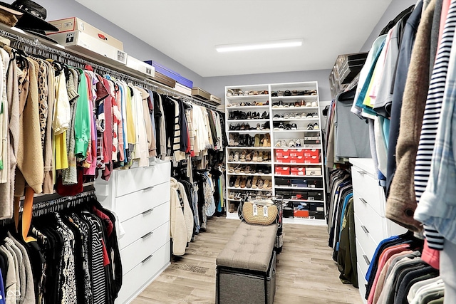 13417 Cambridge Cove Way, Fishers, IN 46055 - walk in closet with light wood-style flooring