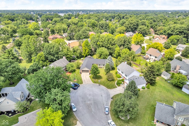 11534 Capistrano Cir, Indianapolis, IN 46236 - aerial perspective of suburban area