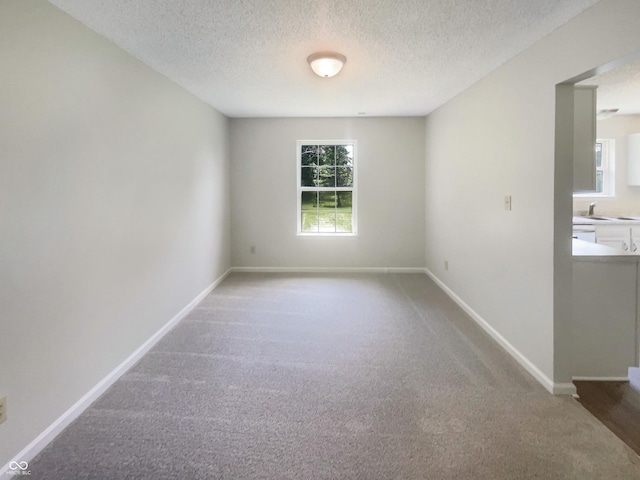 81 Brookland Ln, Pittsboro, IN 46167 - carpeted empty room with a textured ceiling and a sink