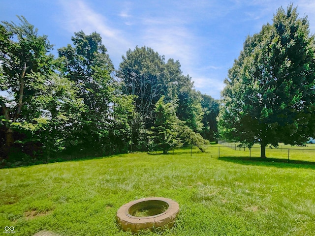 81 Brookland Ln, Pittsboro, IN 46167 - view of yard