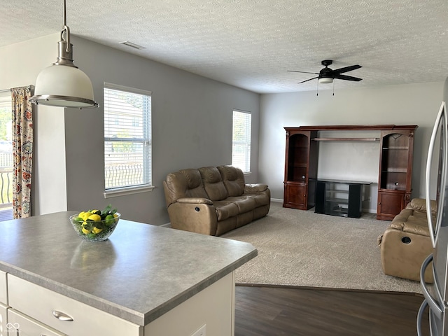 8287 Falkirk Dr, Avon, IN 46123 - living room featuring a ceiling fan, healthy amount of natural light, a textured ceiling, and dark wood-style floors