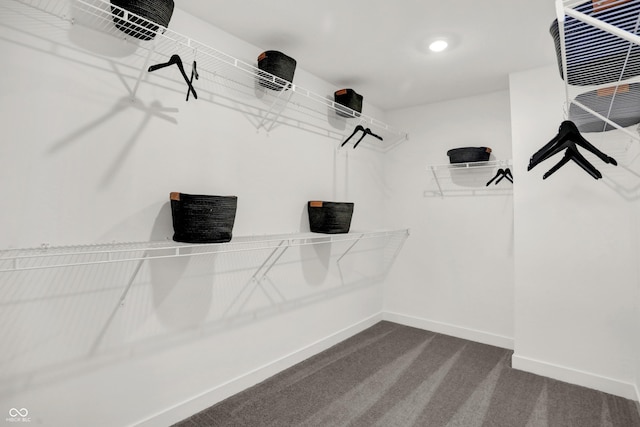17040 Daly Dr, Noblesville, IN 46062 - walk in closet with dark colored carpet