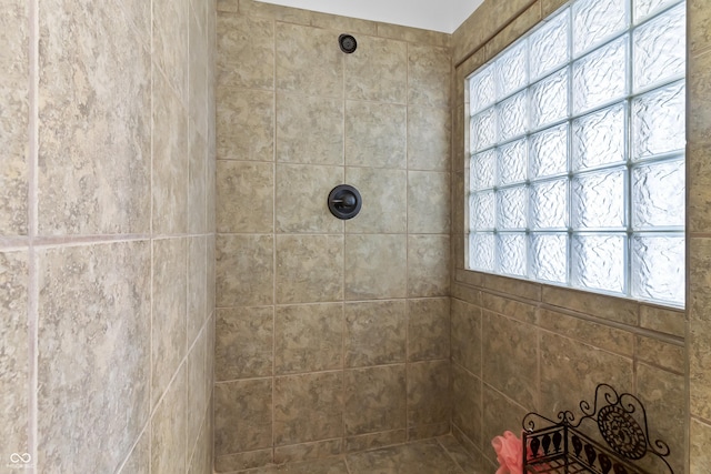 9877 Wading Crane Ave, Fishers, IN 46055 - full bathroom featuring a tile shower
