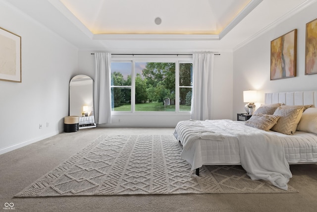 9877 Wading Crane Ave, Fishers, IN 46055 - carpeted bedroom with a tray ceiling