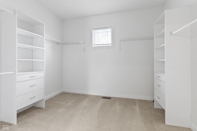 9877 Wading Crane Ave, Fishers, IN 46055 - walk in closet featuring light carpet