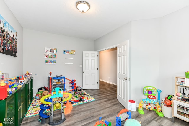 4309 Maize Ln, Whitestown, IN 46075 - recreation room featuring wood finished floors